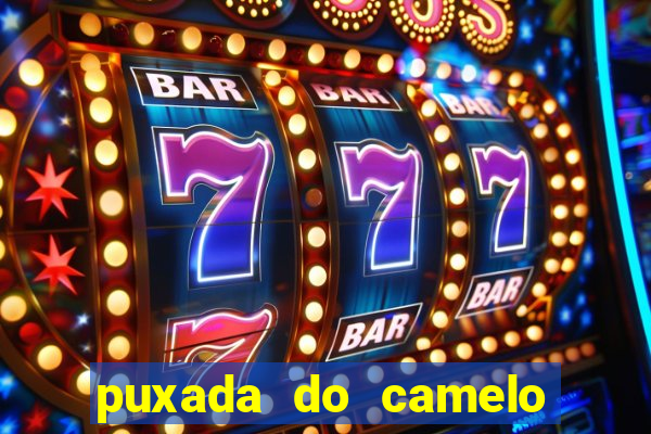 puxada do camelo jogo do bicho